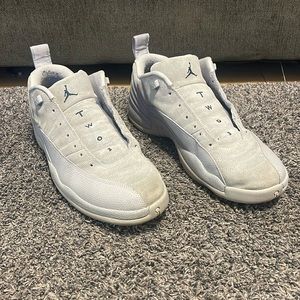 Jordan 12 low wolf grey